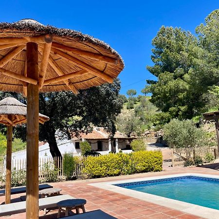 Finca El Sueno Andaluz Villanueva de la Concepción Екстериор снимка