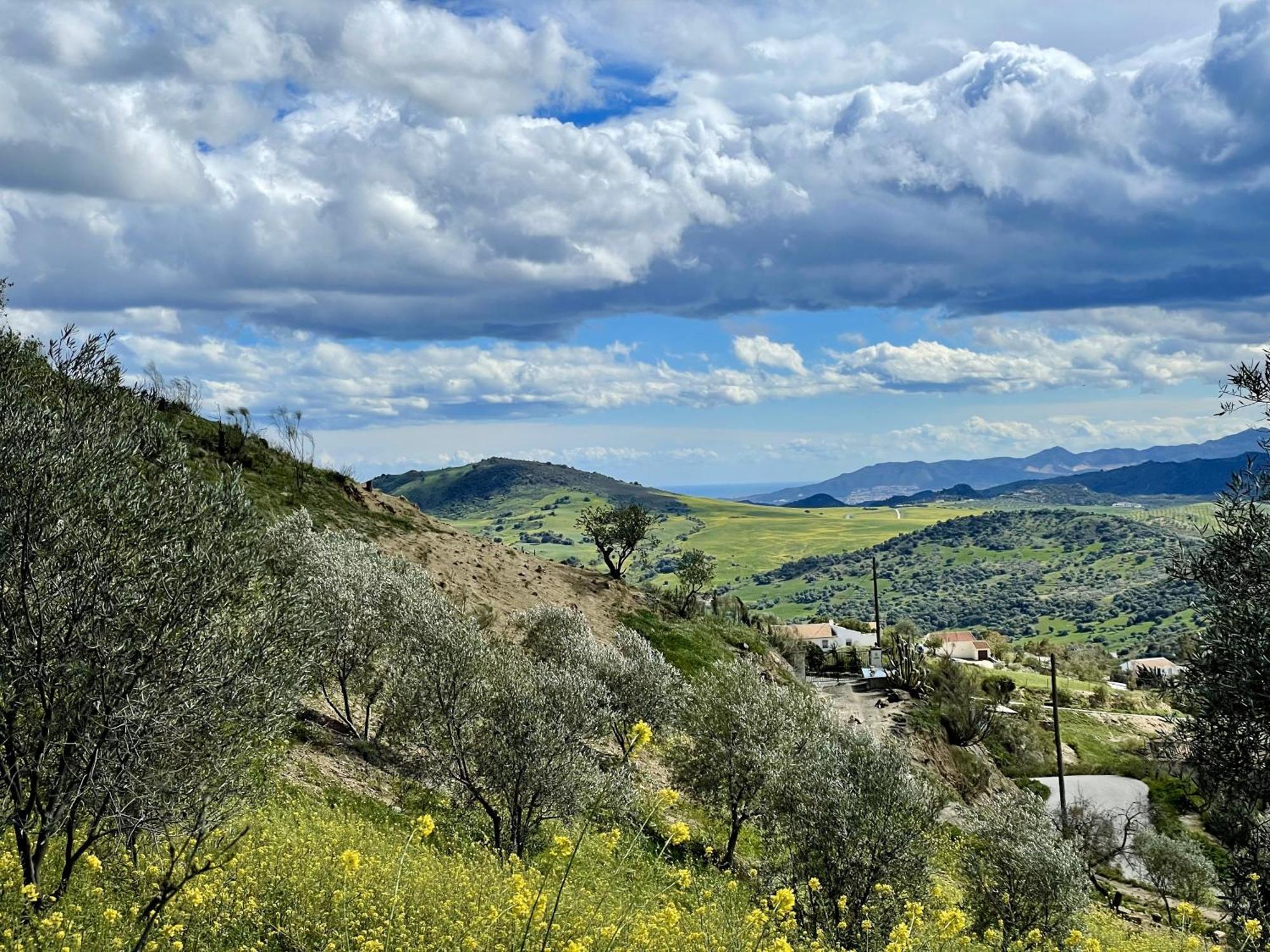 Finca El Sueno Andaluz Villanueva de la Concepción Екстериор снимка