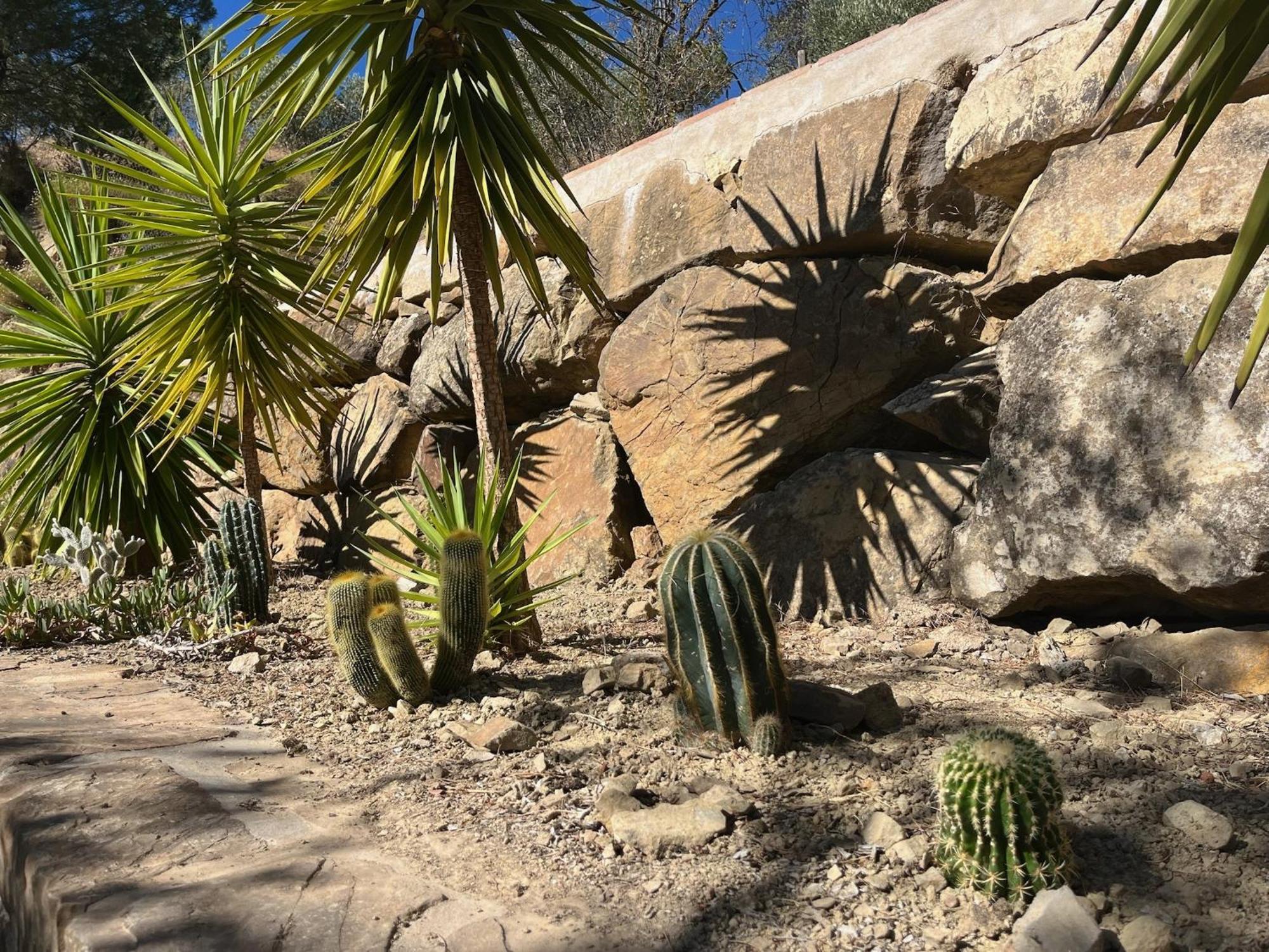 Finca El Sueno Andaluz Villanueva de la Concepción Екстериор снимка