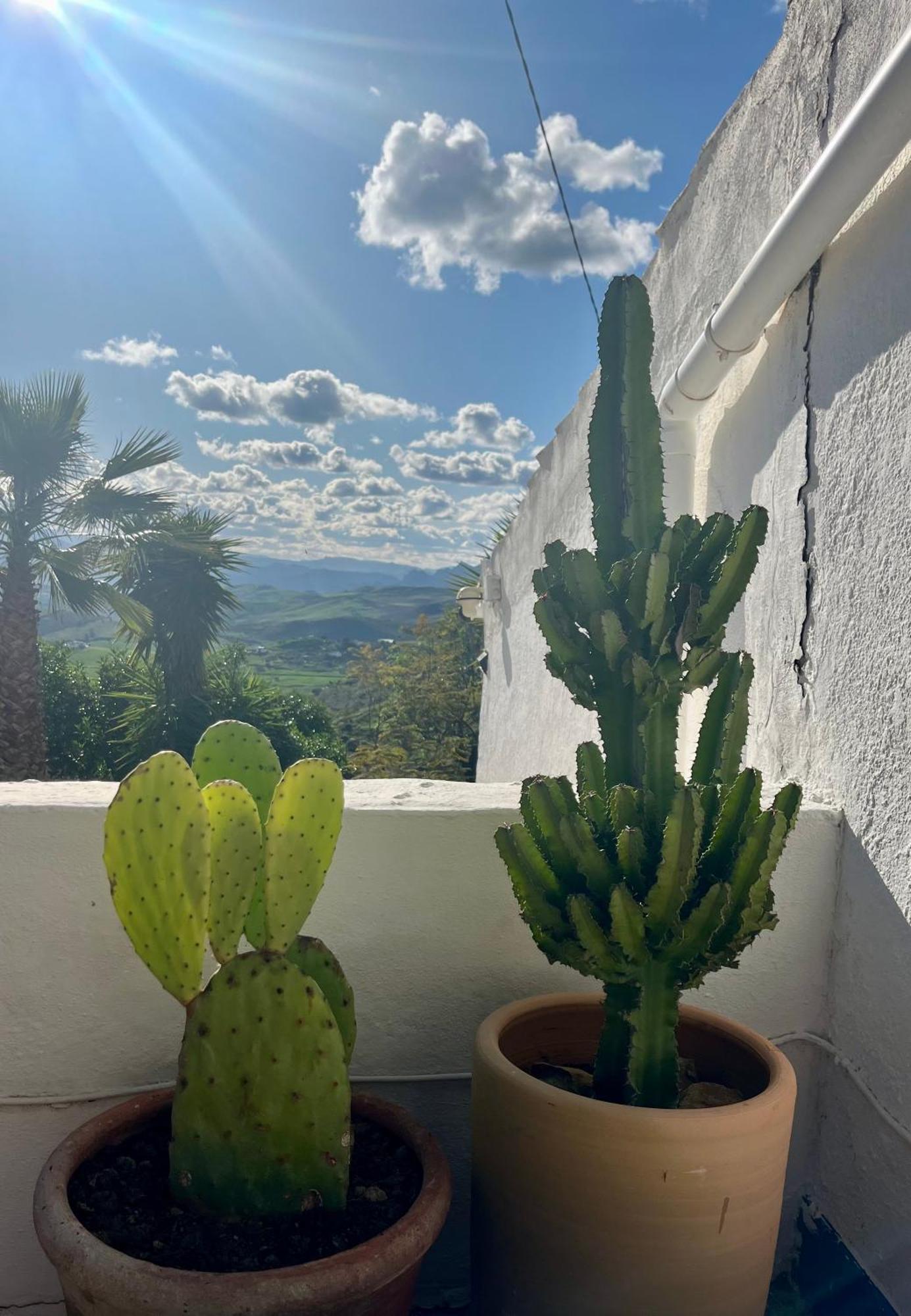 Finca El Sueno Andaluz Villanueva de la Concepción Екстериор снимка